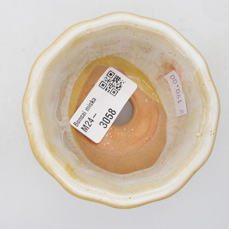 Cuenco bonsái de cerámica 8 x 8 x 4 cm, blanco