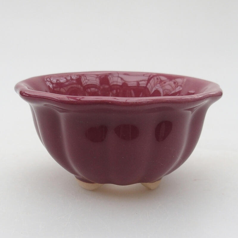 Cuenco bonsái de cerámica 8 x 8 x 4 cm, color morado