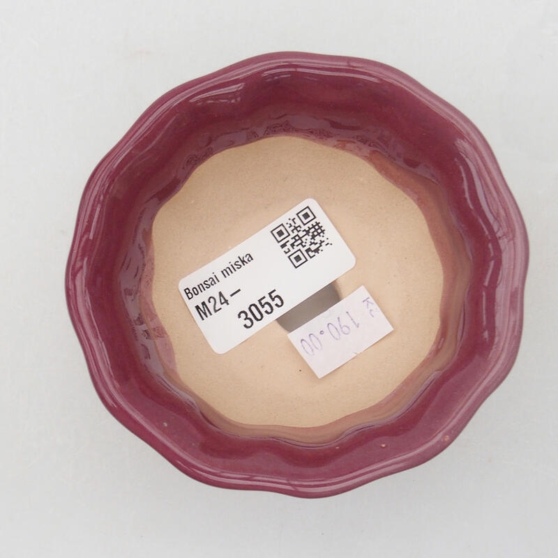 Cuenco bonsái de cerámica 8 x 8 x 4 cm, color morado