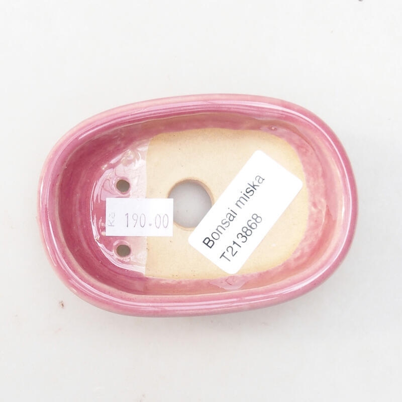 Cuenco bonsái de cerámica 9,5 x 6,5 x 3 cm, rosa