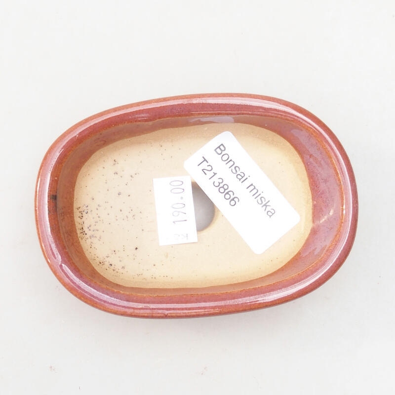 Cuenco bonsái de cerámica 9,5 x 6,5 x 3 cm, rosa