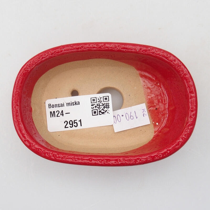 Cuenco bonsái de cerámica 9,5 x 6 x 2,5 cm, color rojo