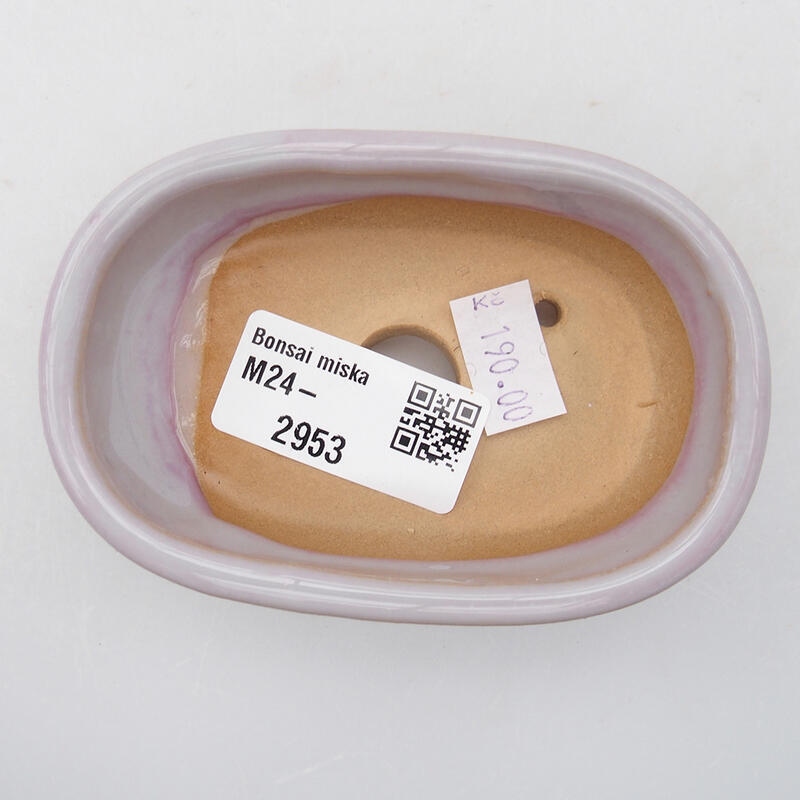 Cuenco bonsái de cerámica 9,5 x 6 x 2,5 cm, color morado