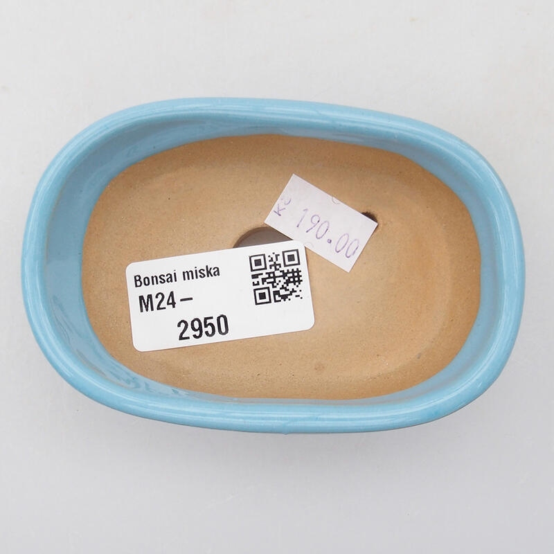 Cuenco bonsái de cerámica 9,5 x 6 x 2,5 cm, color azul