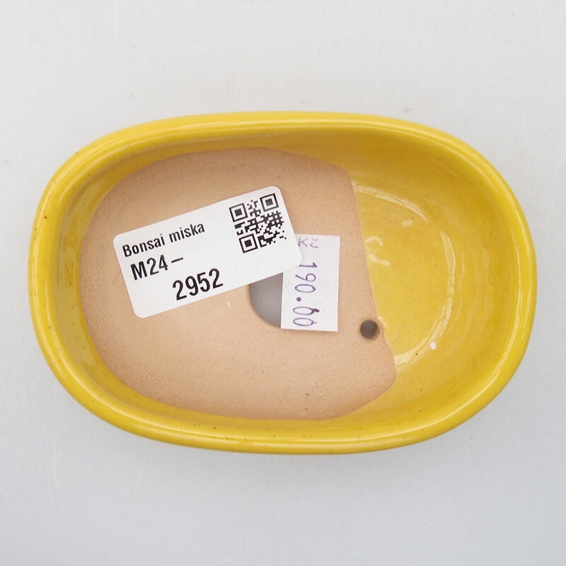 Cuenco bonsái de cerámica 9,5 x 6 x 2,5 cm, amarillo