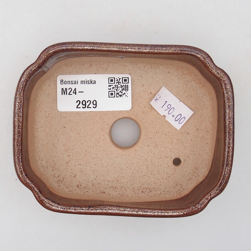 Cuenco bonsái de cerámica 9,5 x 7,5 x 3,5 cm, marrón