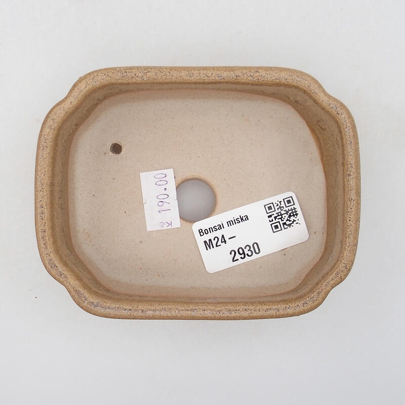 Cuenco bonsái de cerámica 9,5 x 7,5 x 3,5 cm, marrón