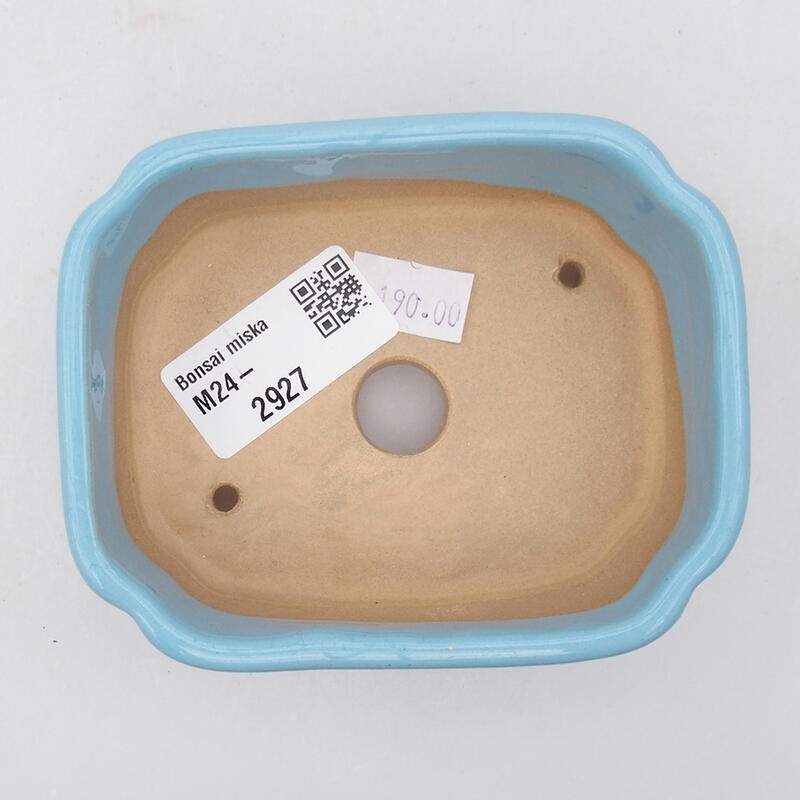 Cuenco bonsái de cerámica 9,5 x 7,5 x 3,5 cm, color azul