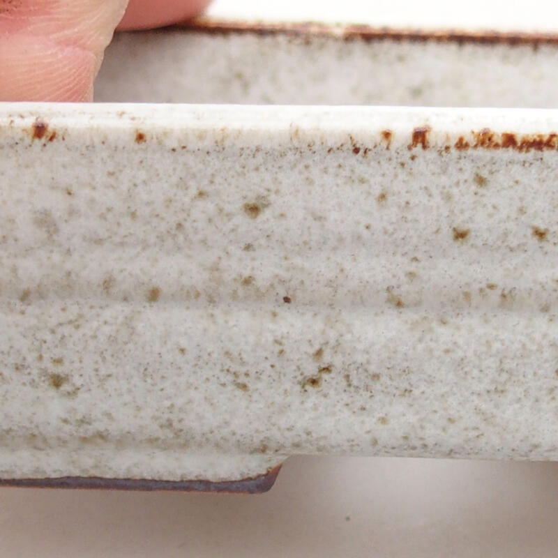 Cuenco bonsái de cerámica 9,5 x 7 x 2,5 cm, color beige