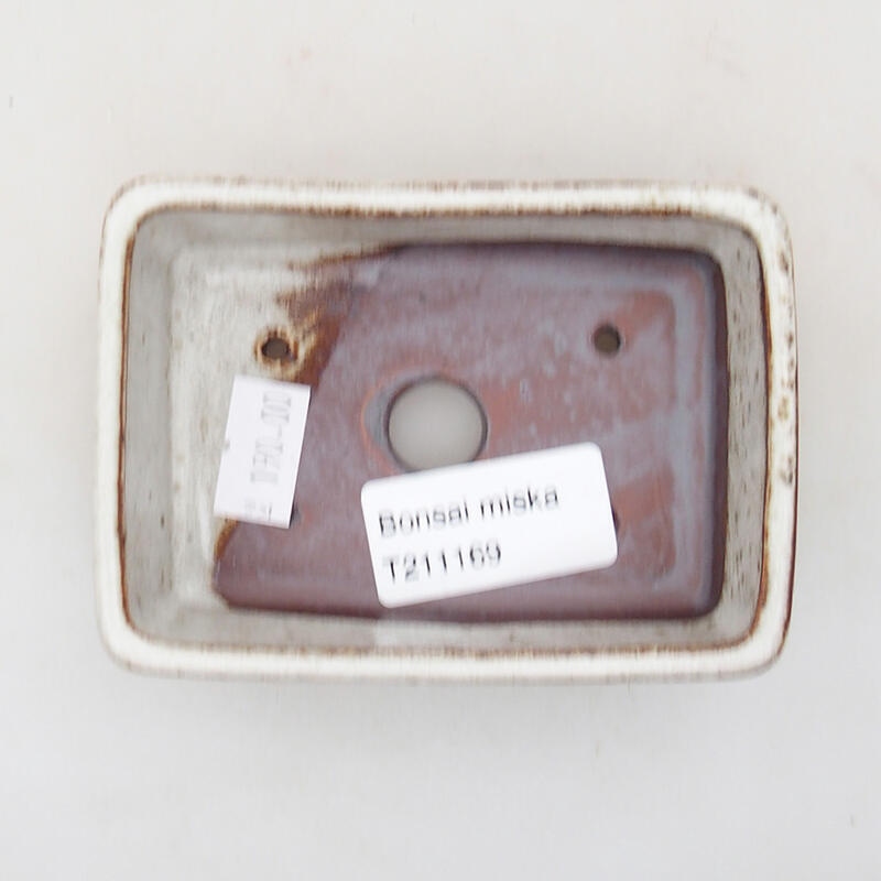 Cuenco bonsái de cerámica 9,5 x 7 x 2,5 cm, color beige