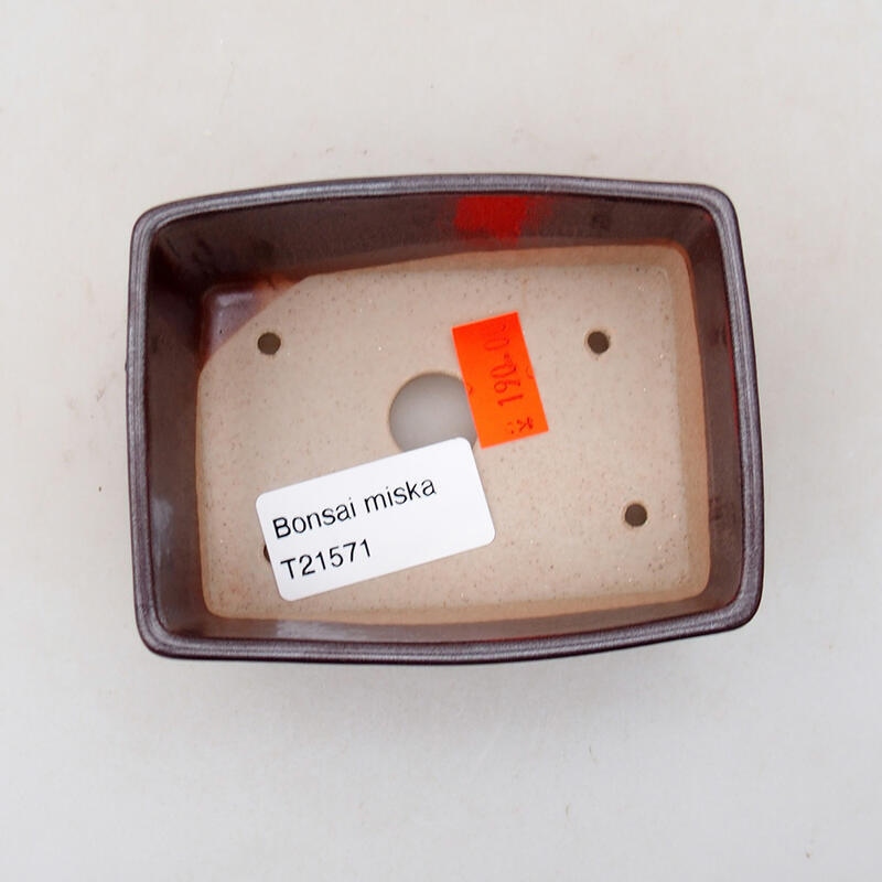 Cuenco bonsái de cerámica 9,5 x 7 x 3,5 cm, marrón
