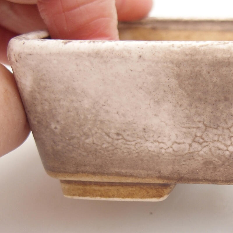 Cuenco bonsái de cerámica 9,5 x 8 x 3,5 cm, beige-marrón