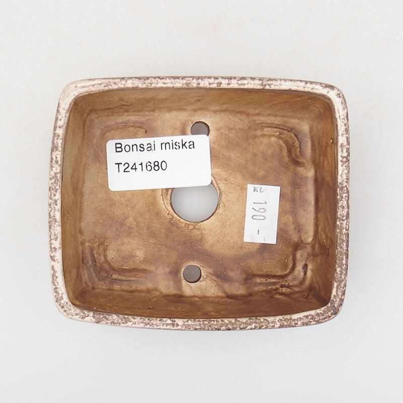 Cuenco bonsái de cerámica 9,5 x 8 x 3,5 cm, beige-marrón