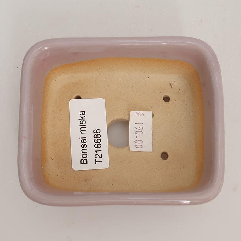 Cuenco bonsái de cerámica 9,5 x 8 x 3 cm, rosa