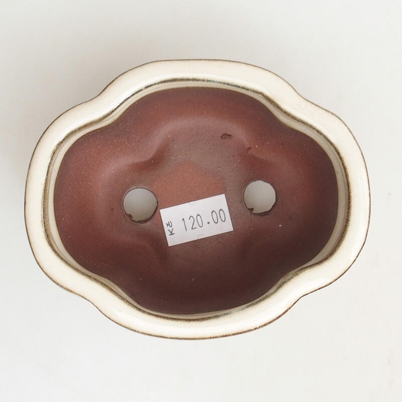 Cuenco bonsái de cerámica 9,5 x 8 x 5 cm, color beige