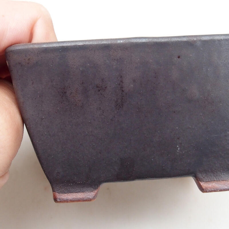 Cuenco bonsái de cerámica 9,5 x 9,5 x 5,5 cm, negro