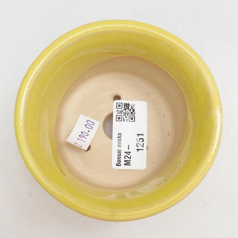 Cuenco bonsái de cerámica 9,5 x 9,5 x 5,5 cm, amarillo