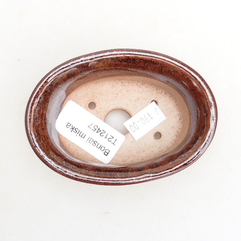 Cuenco bonsái de cerámica 9 x 6,5 x 3,5 cm, marrón