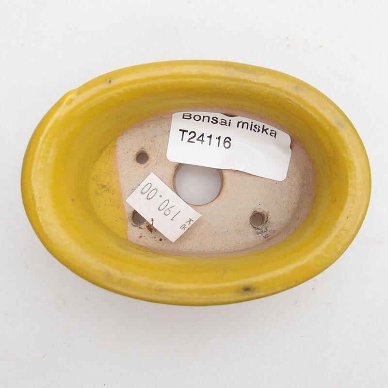 Cuenco bonsái de cerámica 9 x 6 x 3 cm, amarillo