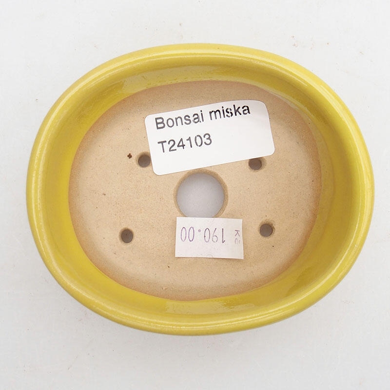 Cuenco bonsái de cerámica 9 x 7,5 x 3,5 cm, amarillo