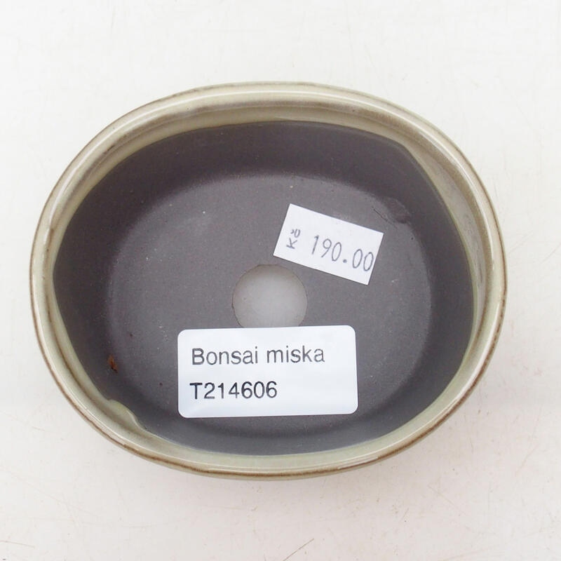 Cuenco bonsái de cerámica 9 x 7,5 x 4 cm, color beige