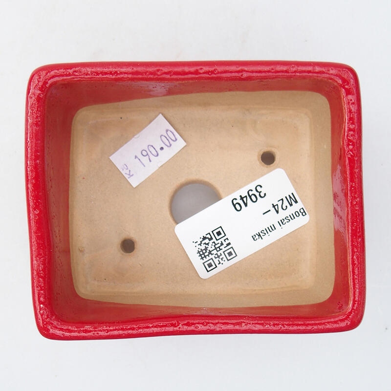 Cuenco bonsái de cerámica 9 x 7 x 4,5 cm, color rojo