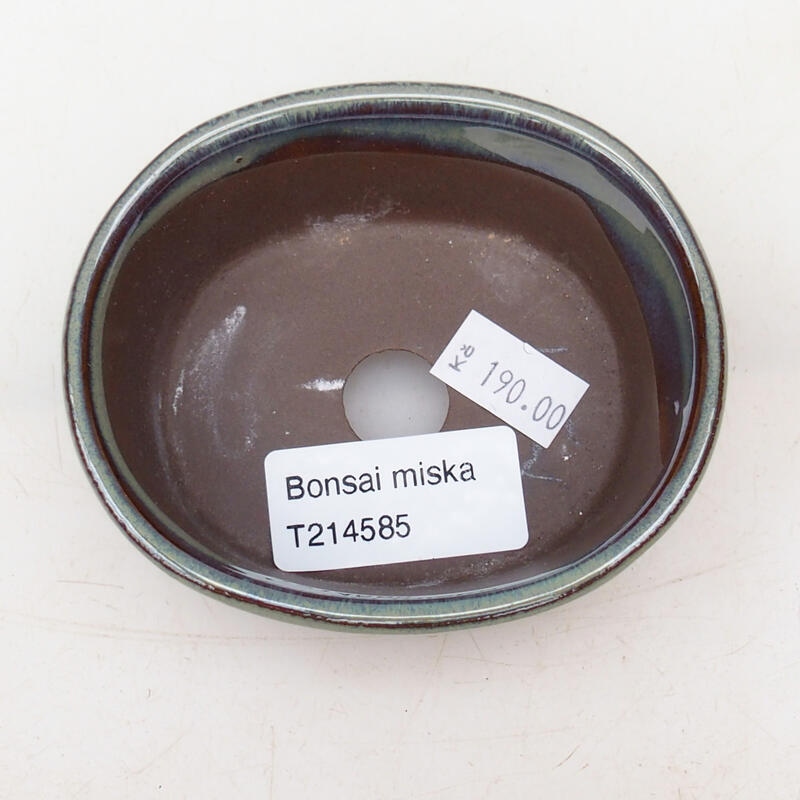 Cuenco bonsái de cerámica 9 x 8 x 4 cm, verde