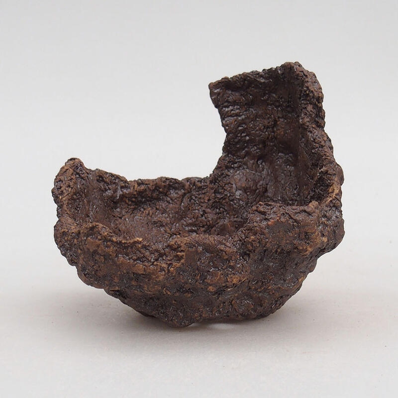 Concha de cerámica 10 x 11 x 9,5 cm , color marrón