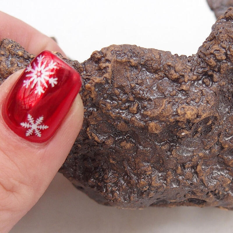 Concha de cerámica 10 x 11 x 9,5 cm , color marrón