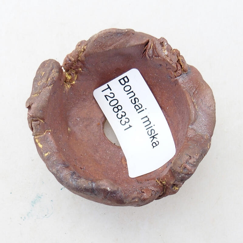 Concha de cerámica 4,5 x 4,5 x 4 cm , color negro