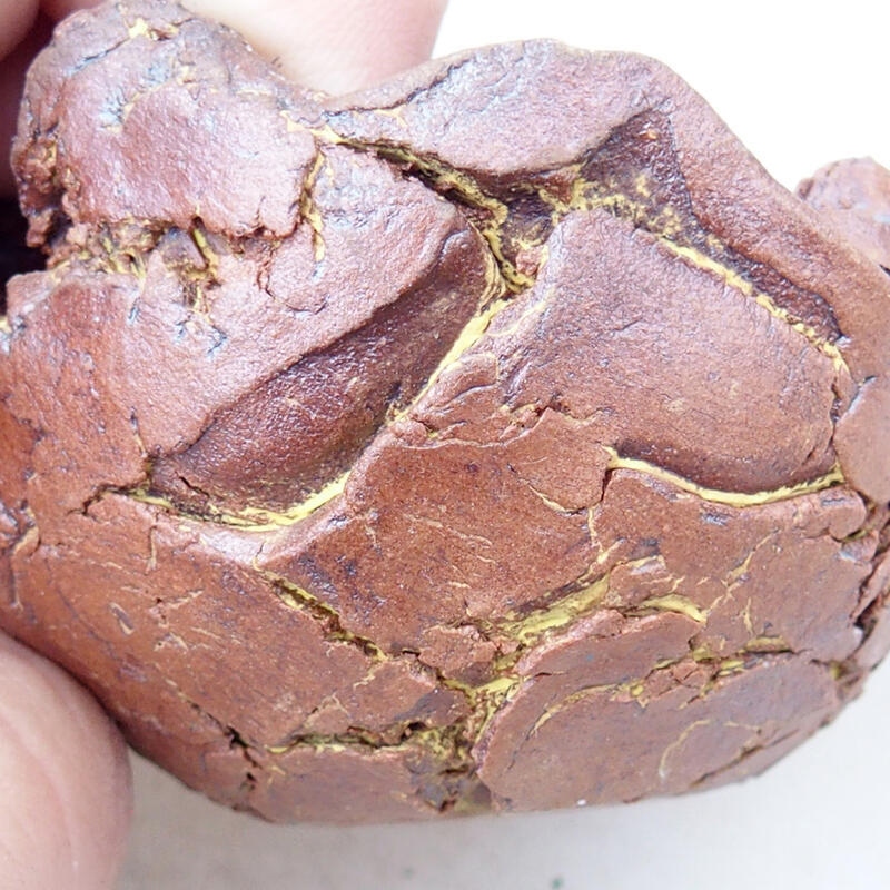 Concha de cerámica 4,5 x 4,5 x 4 cm , color negro