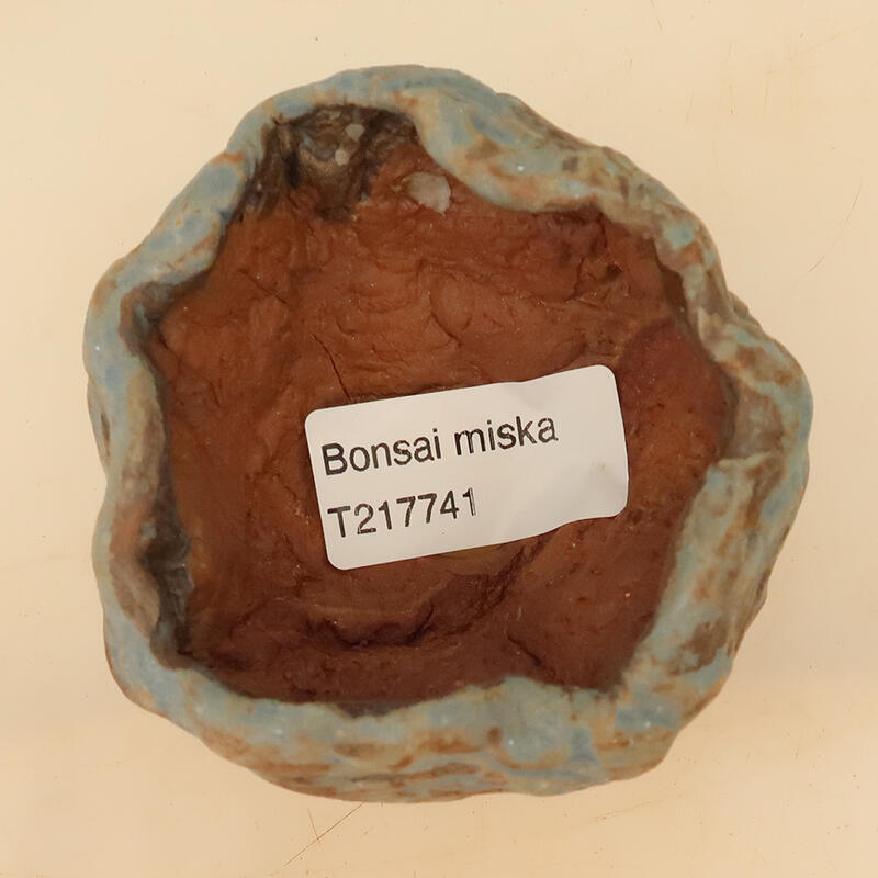 Concha de cerámica 4,5 x 4,5 x 7 cm , color azul