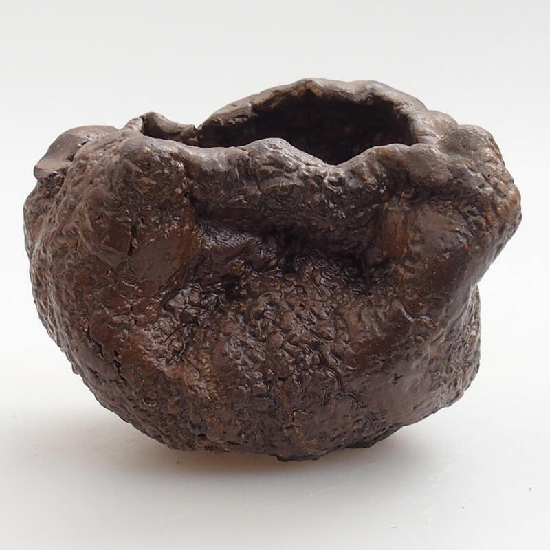 Concha de cerámica 5 x 3 x 5 cm , color verde-marrón