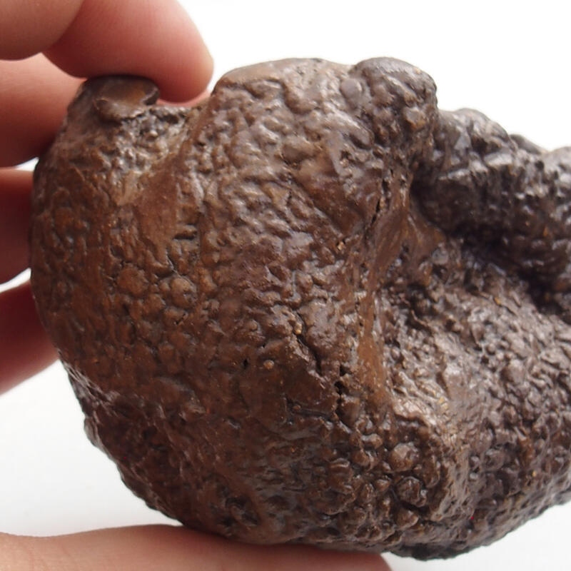 Concha de cerámica 5 x 3 x 5 cm , color verde-marrón