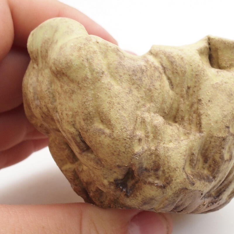 Concha de cerámica 5 x 5 x 5 cm , color verde