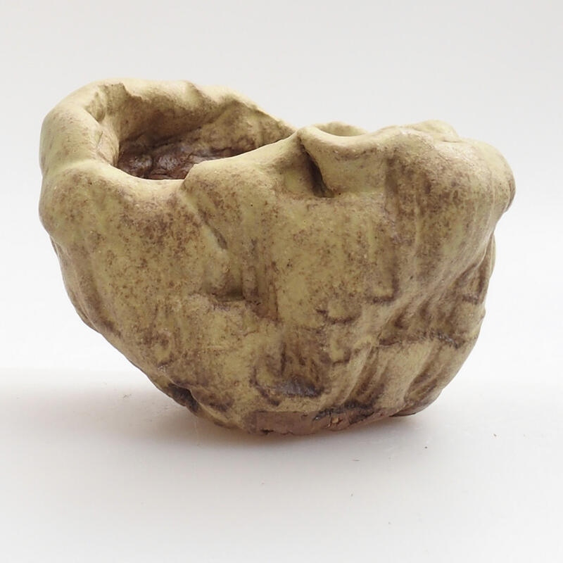 Concha de cerámica 5 x 5 x 5 cm , color verde