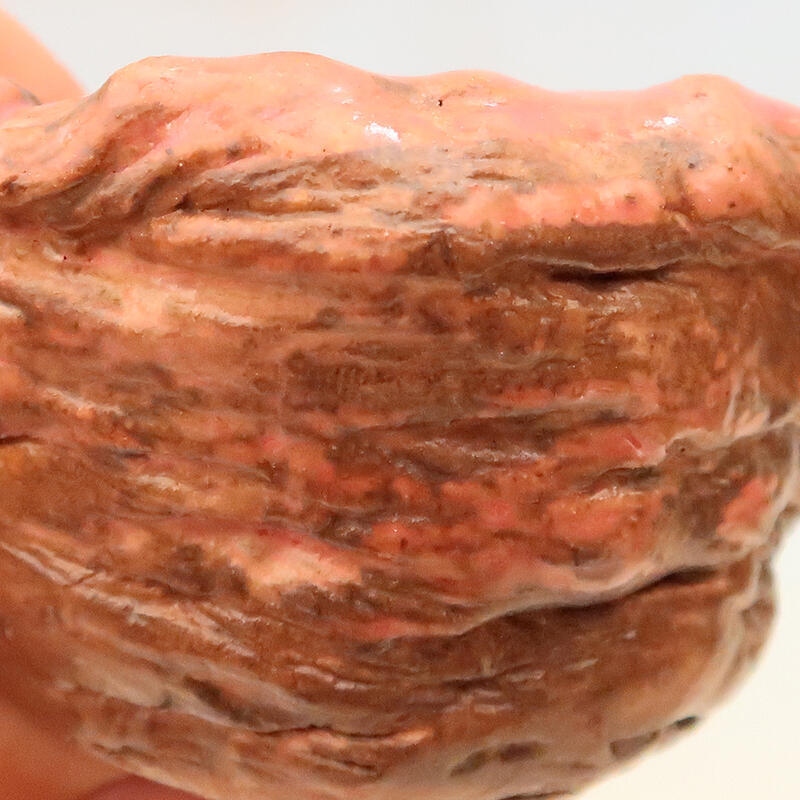 Concha de cerámica 5 x 5 x 6 cm , color rosa