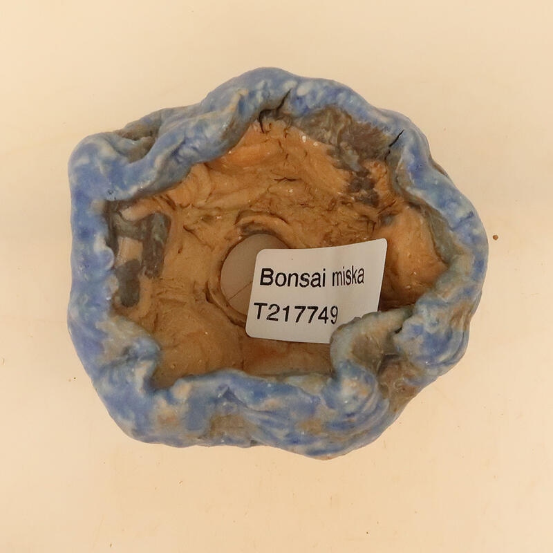 Concha de cerámica 5 x 5 x 8 cm , color azul