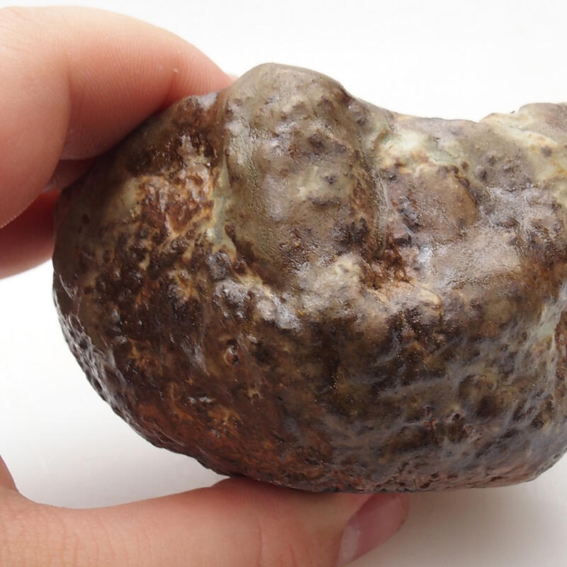 Concha de cerámica 6,5 x 5 x 5 cm , color verde-marrón