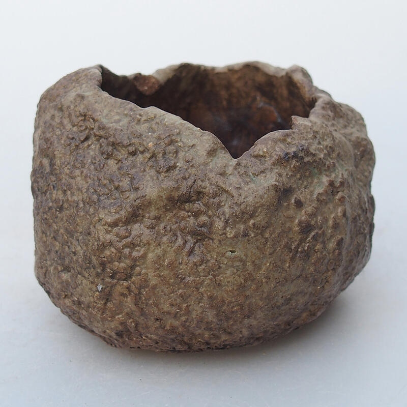 Concha de cerámica 6,5 x 6,5 x 5,5 cm , color beige