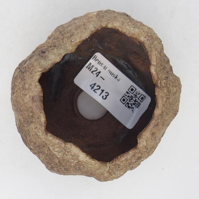 Concha de cerámica 6,5 x 6,5 x 5,5 cm , color beige