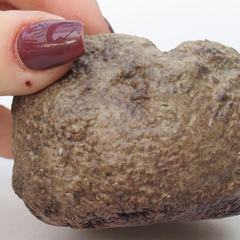 Concha de cerámica 6,5 x 6,5 x 5,5 cm , color beige