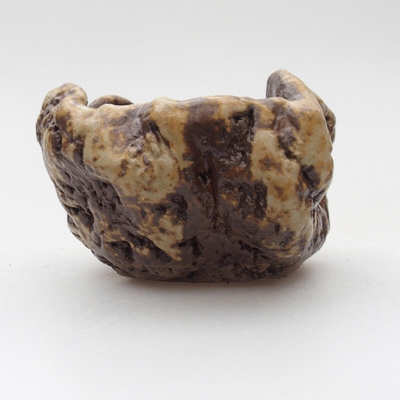 Concha de cerámica 6 x 5 x 4 cm , color blanco-marrón