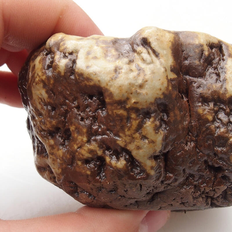 Concha de cerámica 6 x 5 x 4 cm , color blanco-marrón