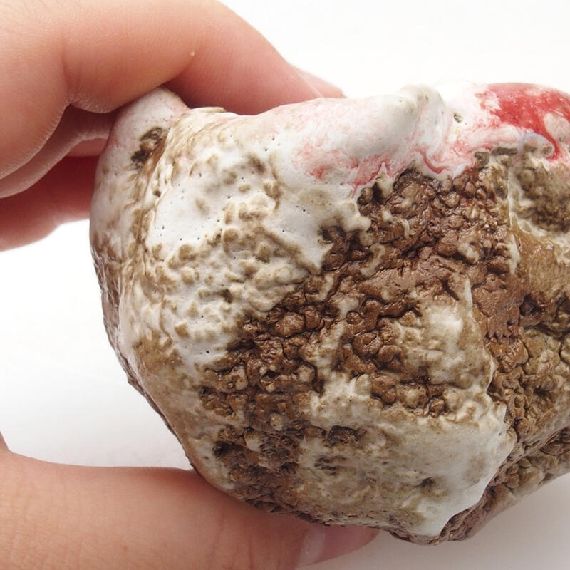 Concha de cerámica 6 x 5 x 6 cm , color rojo y blanco