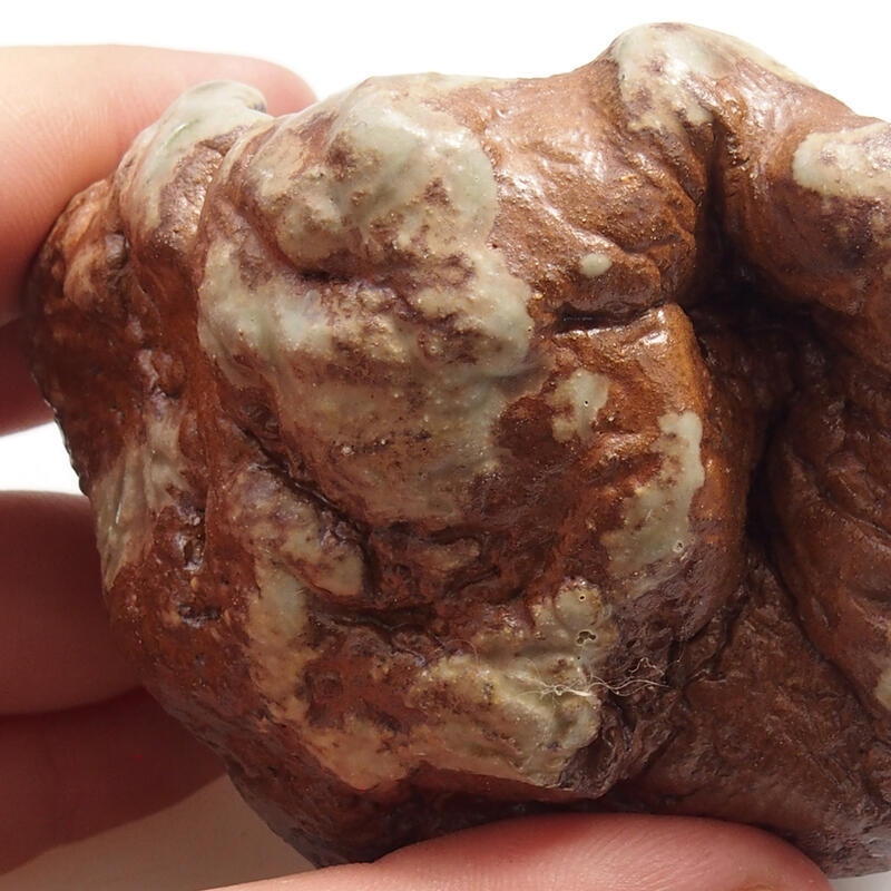 Concha de cerámica 6 x 6 x 5 cm , color verde-marrón