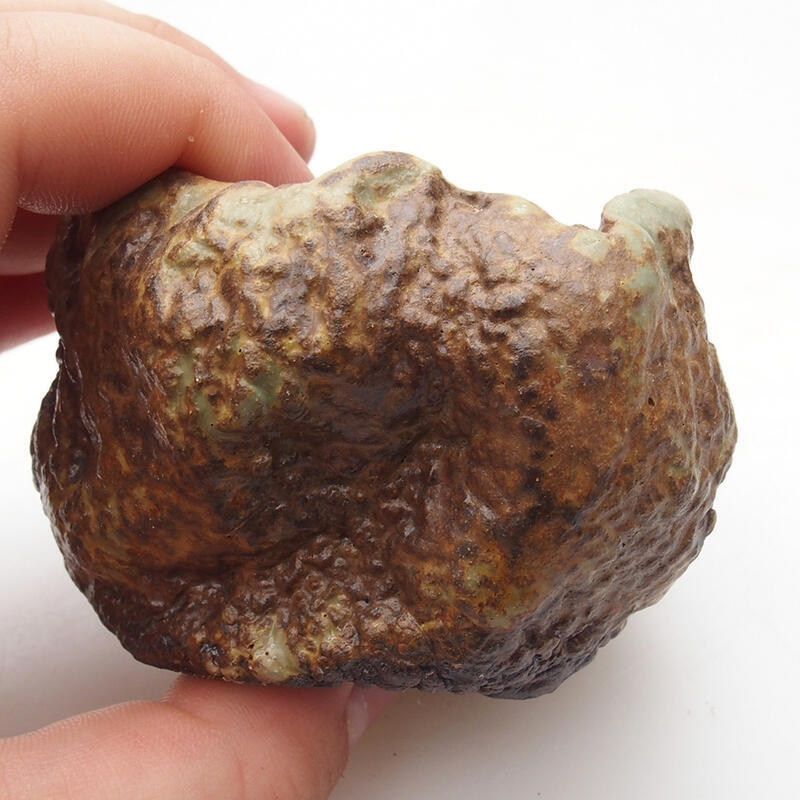 Concha de cerámica 6 x 6 x 5 cm , color verde-marrón