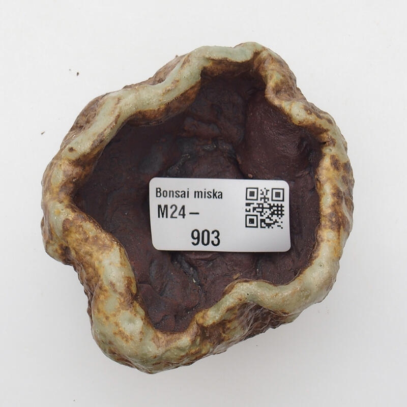 Concha de cerámica 6 x 6 x 5 cm , color verde-marrón