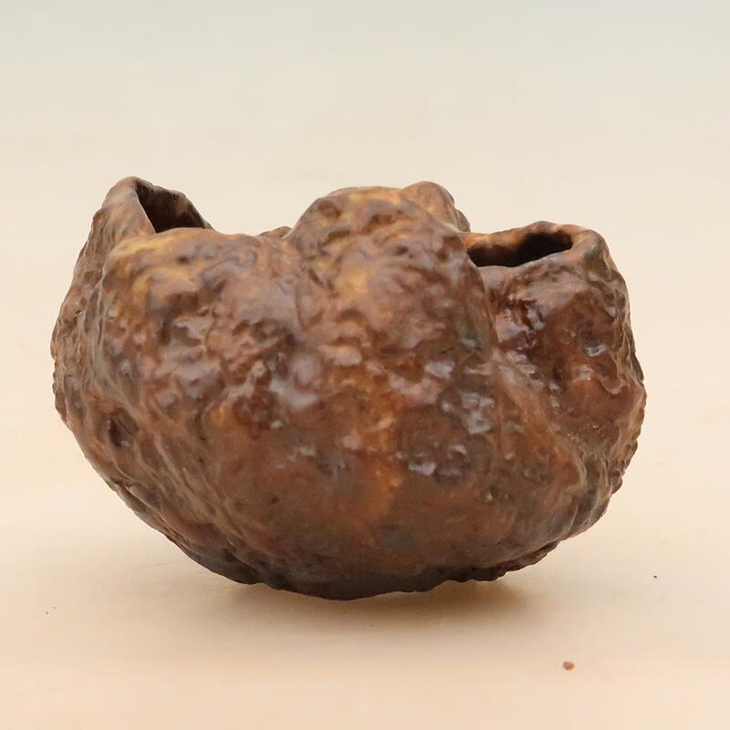 Concha de cerámica 6 x 6 x 8 cm , color marrón