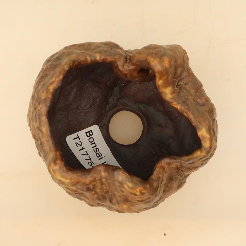 Concha de cerámica 6 x 6 x 8 cm , color marrón